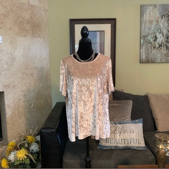 LUCKY BRAND NWT Champagne Crushed Velvet Flutter Sleeve Top 2X - Picture 3 of 8